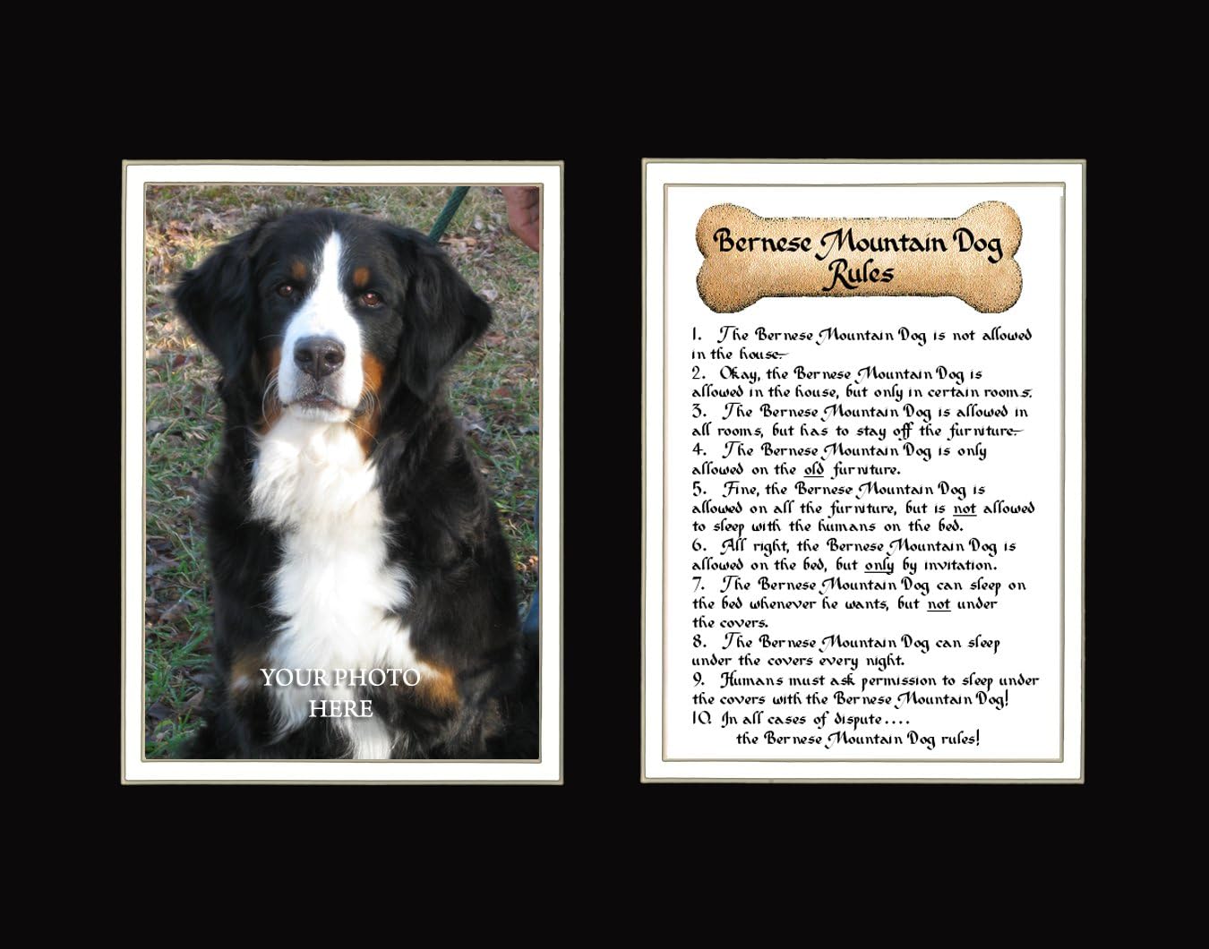 Regles Pour Chien Bouvier Bernois Decoration Murale Inscription Pour Chien Animal Avec Citation Amazon Fr Cuisine Maison