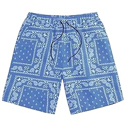 DIOTSR Mens Paisley Casual Shorts Retro Graphic
