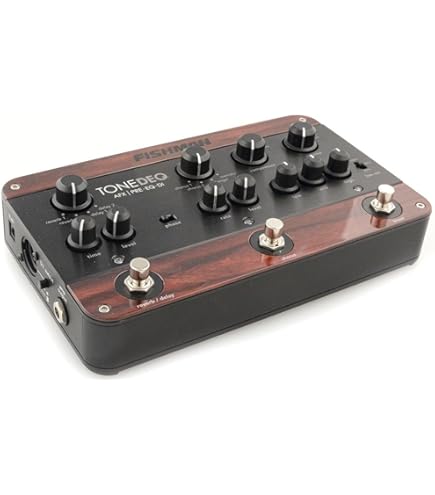 Amazon.com: L.R. Baggs Venue DI Acoustic Guitar Preamp Direct Box