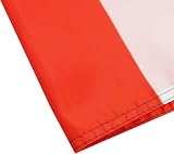 AZ FLAG Suriname Flag 2x3 ft 100D Polyester with 2 Brass Grommets view 4