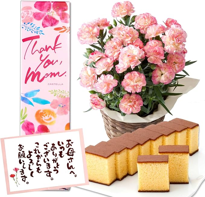 Amazon 長崎心泉堂 母の日 カーネーション 鉢植えとスイーツ ギフト プレゼント お菓子 カステラ 4号 クリームピンク Md12 長崎心泉堂 和菓子ギフト 通販