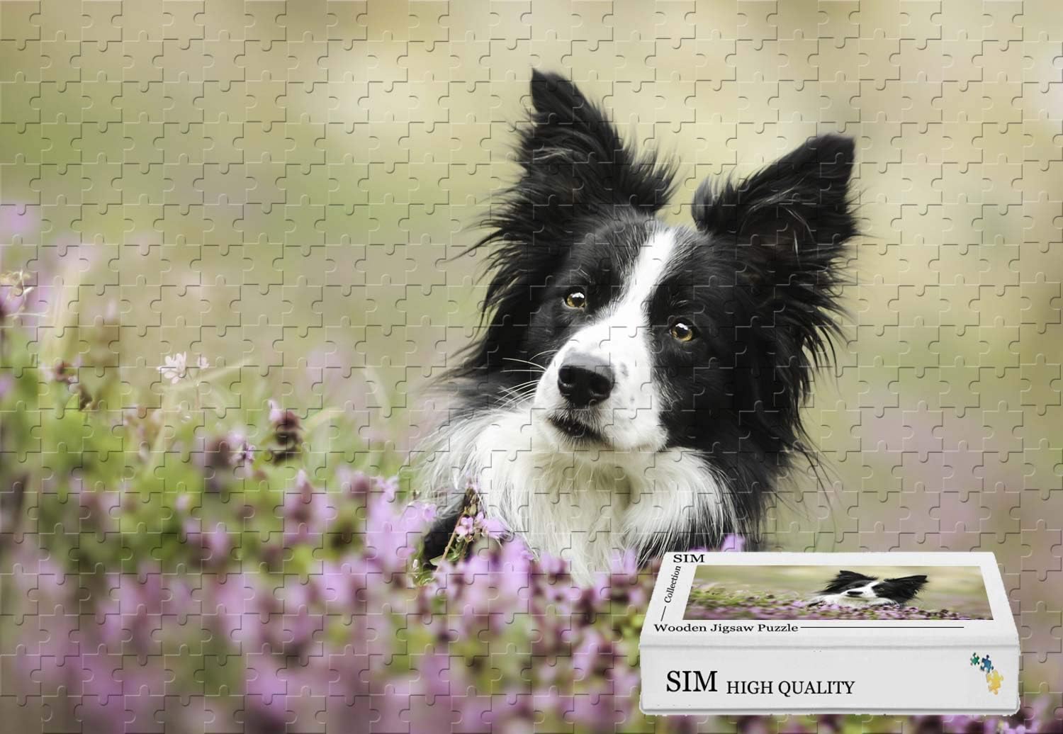 border collie puzzle