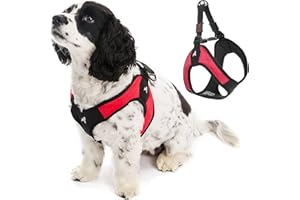 Gooby Escape Free Easy Fit Harness - Red, Small - No Pull Step-in Patented Dog Harness with Quick Release Buckle for Small to Medium Dogs
