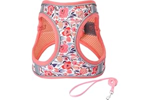 JUFOO XXS Peach Flower Pattern Dog Harness and Leash Set,No Escape Easy Walk Puppy Harnesses for Training Walking，Breathable Adjustable Puppy Vest for Small Medium Dogs, Cats (Peach, XXS)