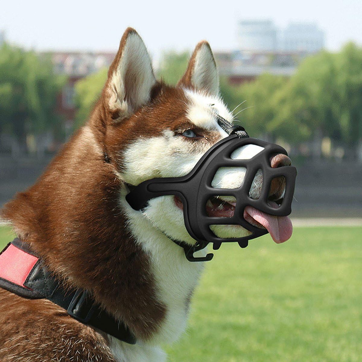 SHUNAI Dog Muzzle, Rubber Basket Muzzles for Small,Medium,Large,Extra Large Dogs, Adjustable and Breathable Design, Stops Biting, Barking and Aggressive Dogs (Size: L)