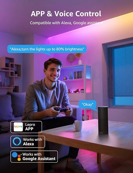 LEPRO S1 AI LED STRIP LIGHTS FOR BEDROOM – 65.6FT SMART RGB LIGHT STRIPS WITH IC AND RAINBOW CHASING EFFECTS, COLOR SEGMENT DIY, PERSONALIZED AL LIGHTING DESIGNER, NO REMOTE, 2.4G WI-FI & BLUETOOTH