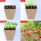 ATopoler 6Pcs 12-Grid Biodegradable Seedling Trays Plant Fibre Pots for Veg view 5