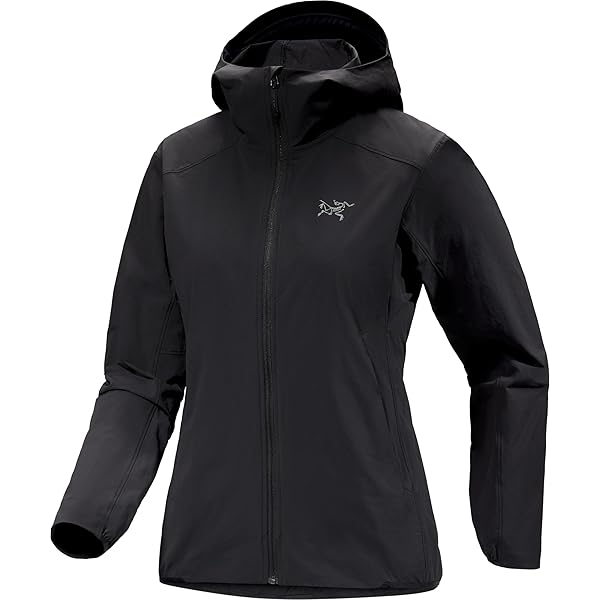 Arc'teryx Atom Lightweight Hoody Women's | Superlight