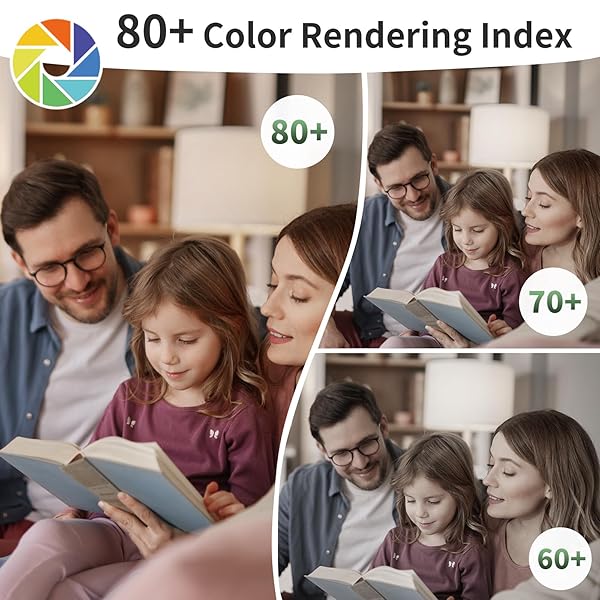 EVELOR A19 LED LIGHT BULBS,100 WATT EQUIVALENT DAYLIGHT 5000K EFFICIENT 13W,1500 LUMENS E26 BASE, NON-DIMMABLE, 15000-HOUR LIFESPAN FOR BEDROOM, LIVING ROOM, OFFICE, 6-PACKS