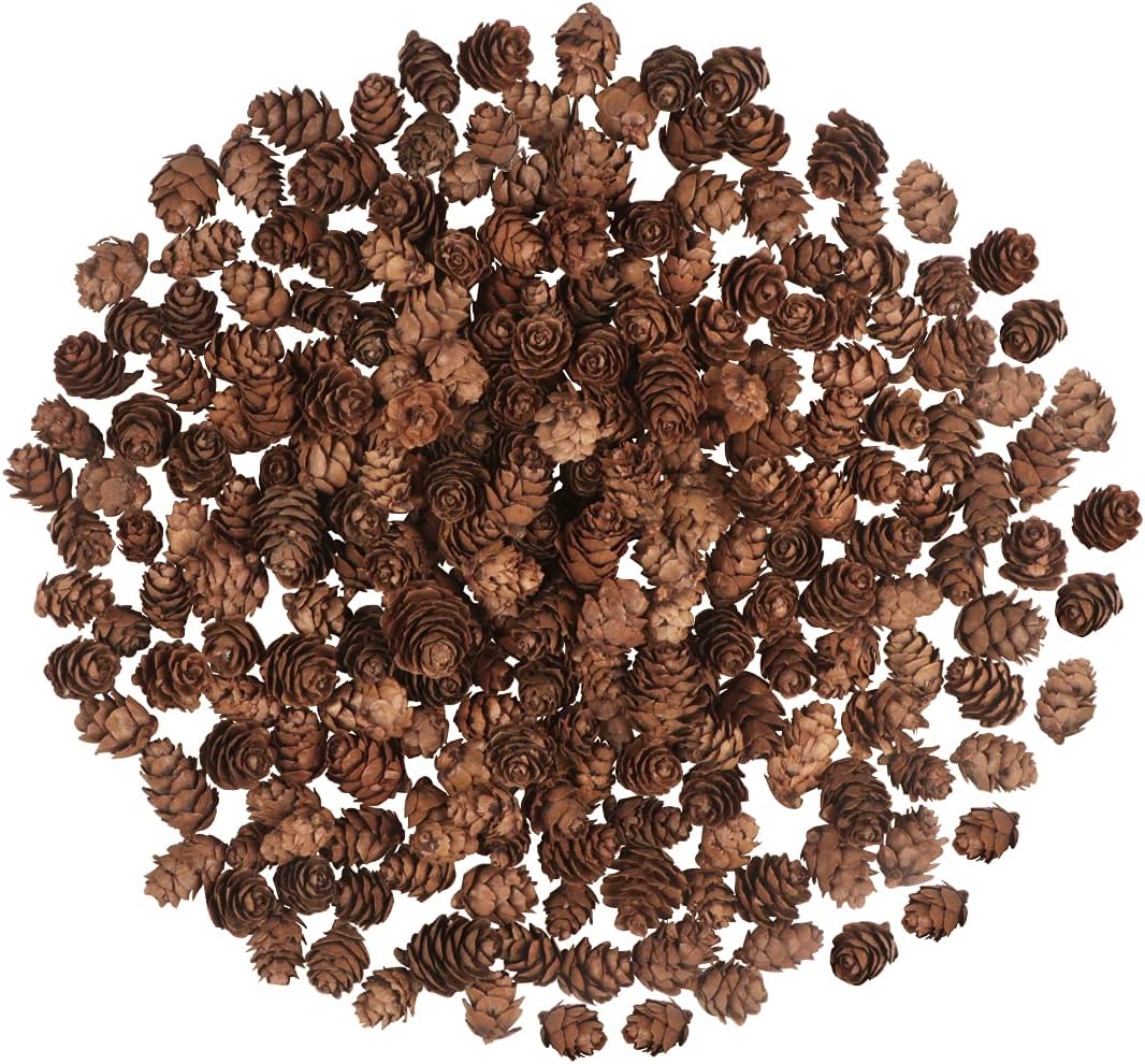 Vase Fillers - 200 PCS Christmas Natural Pine Cones Mini Pine Cones Thanksgiving Pine Cones Bulk Christmas Pinecones Ornaments for Home Decoration DIY Crafts Wedding Christmas Tree Fall Winter Decor