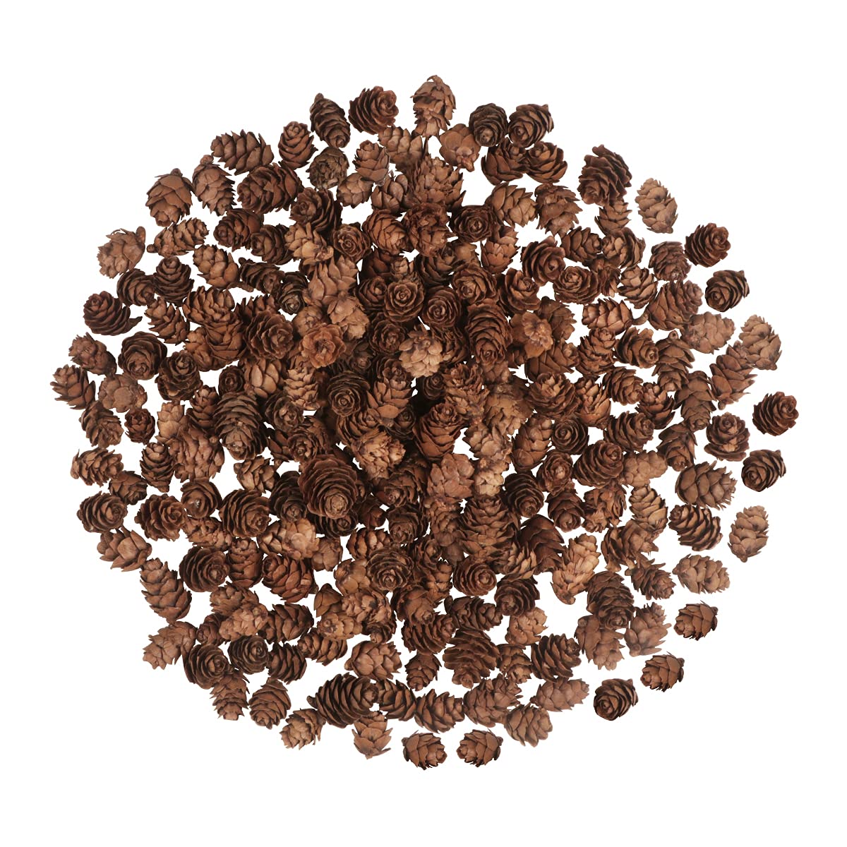 Photo 1 of 200PCS Christmas Natural Pine Cones Mini Fall Decorations Pinecones Ornaments Bulk Small Pine Cones for DIY Crafts Thanksgiving Fall Winter Christmas Wedding Decor Vase Filler Decor