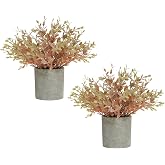 GLUUFLOWER 2 Pack Small Potted Artificial Eucalyptus Plant for Fall Decor, Faux Orange Eucalyptus Plants, Artificial Potted Greenery for Bedroom Kitchen Farmhouse Home Decor