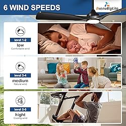BvenuBigLite Ceiling Fan with Light Modern: 52 Inch