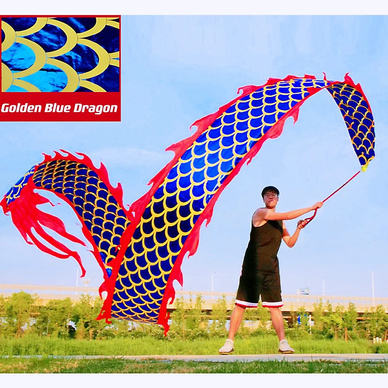 DSJUGGLING 3D Dragon Poi with 340g Weighted Ball & 1.1 Meters Swing Rope - Silk Flowy Shaking & Flinging Chinese Golden Dragon Ribbon Streamer + Travel Bag! (6 Meters (19.6 FT), Golden Blue Dragon)