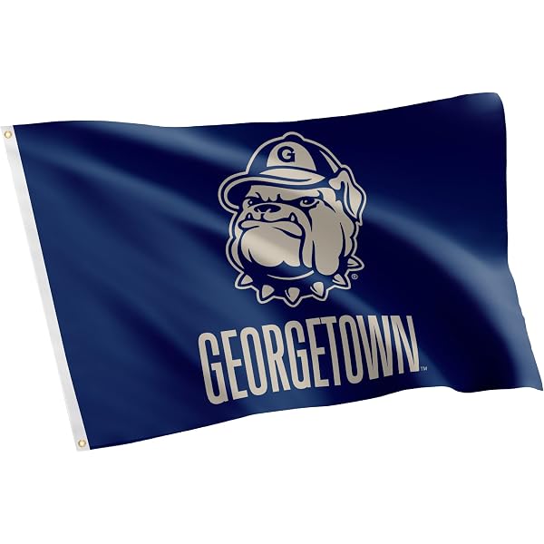 Desert Cactus Georgetown University Hoyas Logo Enamel Lapel Pin Set - 3 Metal Pins, Officially Licensed