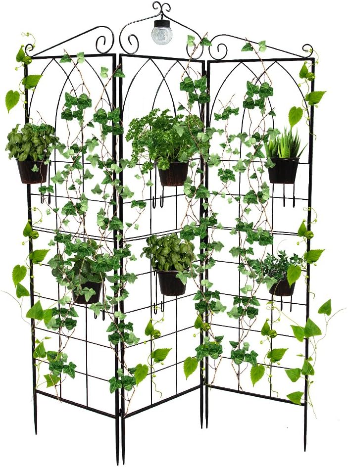 Best Cheap Wood Garden Trellis Panels