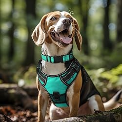 Joytale Reflective Dog Collar,Soft Neoprene Padded