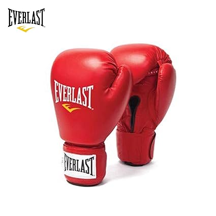 everlast boxing gloves price