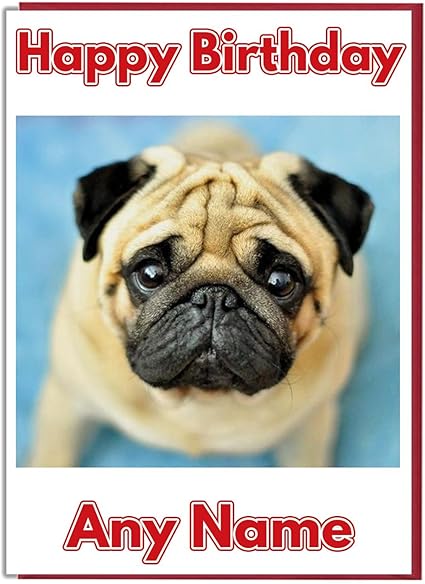 Biglietto Per Auguri Di Compleanno Motivo Cane Carlino Formato A5 Carta Color Avorio Amazon It Cancelleria E Prodotti Per Ufficio