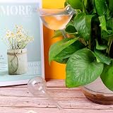 Heiqlay Plant Watering Devices 6 Pack Self Watering Globes Two Sizes view 7