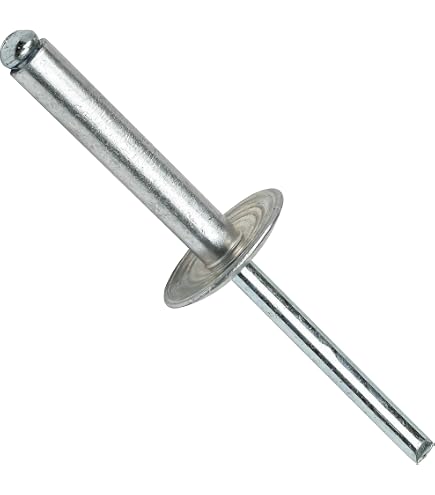 Amazon.com: Fastenere Large Flange Pop Rivets - 3/16