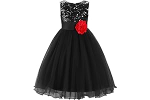 JerrisApparel Little Girls' Sequin Mesh Flower Ball Gown Party Dress Tulle Prom