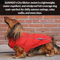DJANGO Dog Jacket & Raincoat – Lightweight