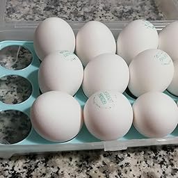 Huevera de plástico para refrigerador con tapa, organizador de ...