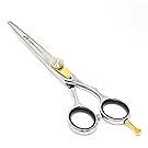 Equinox Professional Razor Edge Hair Cutting Scissors/Shears - (6.5") Adjustment Tension Screw, 100% Stainless Steel, Great For Salons, Barber-Shops, and Hair Enthusiasts