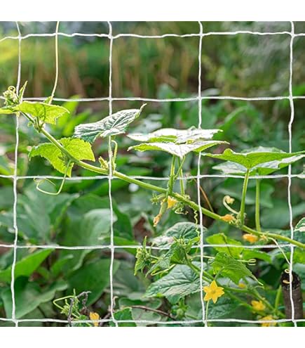 Amazon.com: Practicool 1.6mm x 30m Galvanised Coated Garden