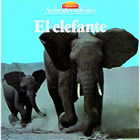 El elefante (Spanish Edition) book cover