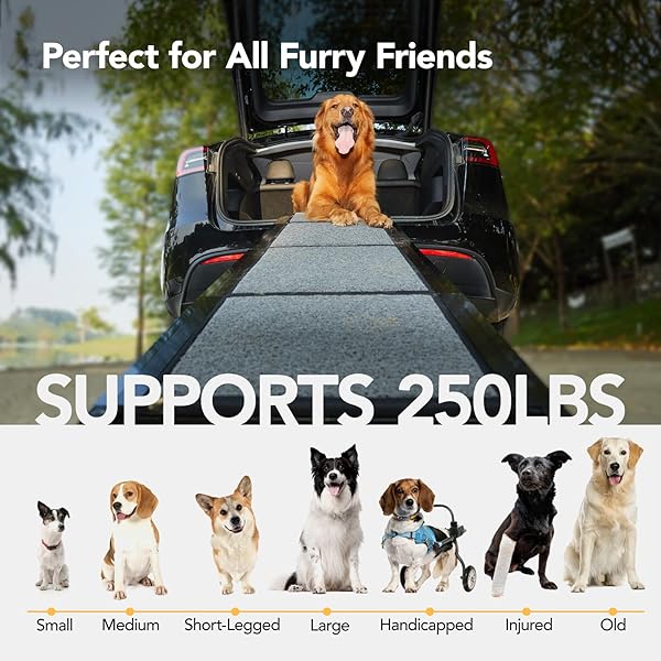 PETTHEM DOG RAMP FOR CAR 71” X-LONG & 17.2″ WIDE FOLDING DOG RAMPS FOR LARGE DOGS WITH NON-SLIP RUG SURFACE PORTABLE DOG CAR RAMP FOR SUV CAR & TRUCK, OUTDOOR DOG RAMP UP TO 250 LBS