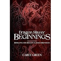 その他 DRAGON Slayer CHRONICLE The Dragon Slayer Chronicles Illustrated Collector's Edition