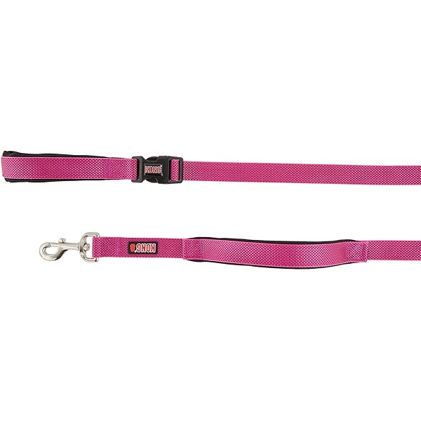 kong reflective traffic dog leash