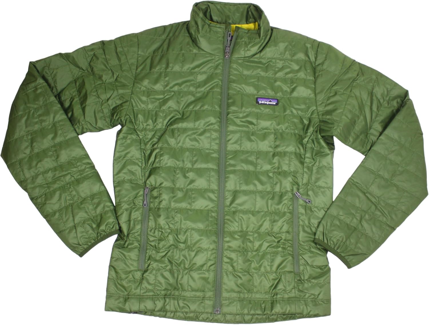 green patagonia coat