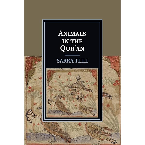 Animals in Islamic Tradition and Muslim Cultures: Foltz, Richard