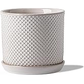 Chubacoo 5.8 Inch Plant Pot: Ceramic Planter with Drainage Hole & Saucer for Indoor Outdoor Plants - Flowerpot with Bonded Tray for Home Office - Beaded Embossed Style, Cream White