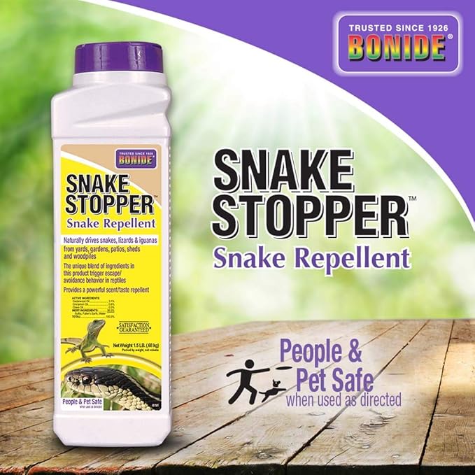 dog with diarrhea vomiting and lethargy