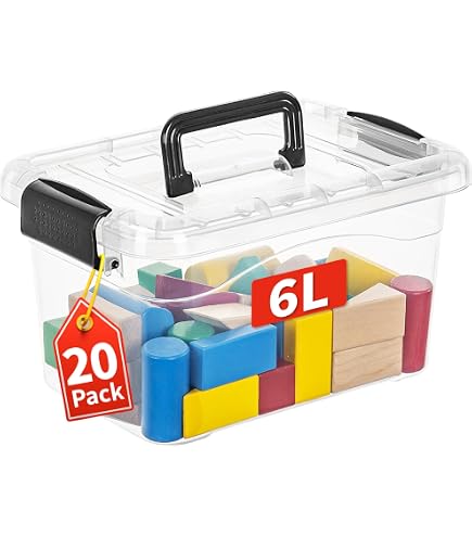 Amazon.com: Cetomo 6Lx20 Pack Storage Boxes, Storage Box with Lids