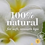 Burt's Bees Wild Cherry Lip Balm 100% Natural Hydrating & Nourishing view 4