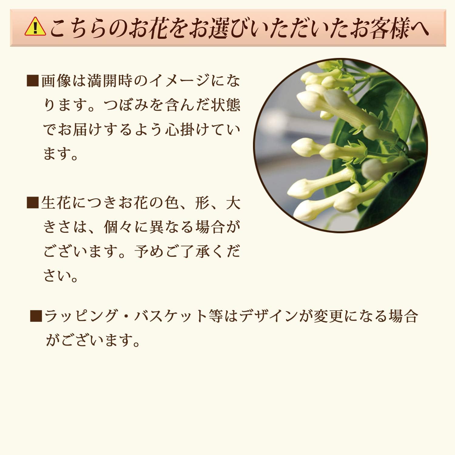 Amazon 花のギフト社 母の日 マダガスカルジャスミン 花鉢 鉢花 鉢植え プレゼント 花 鉢 フラワーギフト 観葉植物 オンライン通販