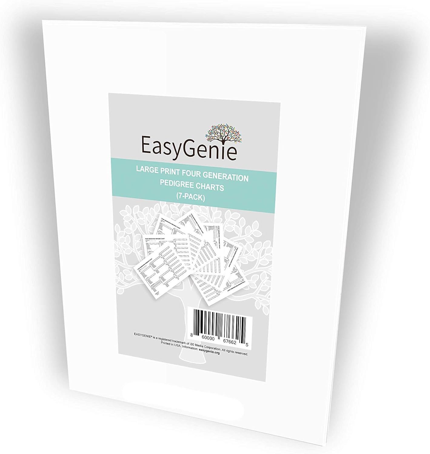 Which Is The Best Easy Genie Fan Family Chart 4 Generations