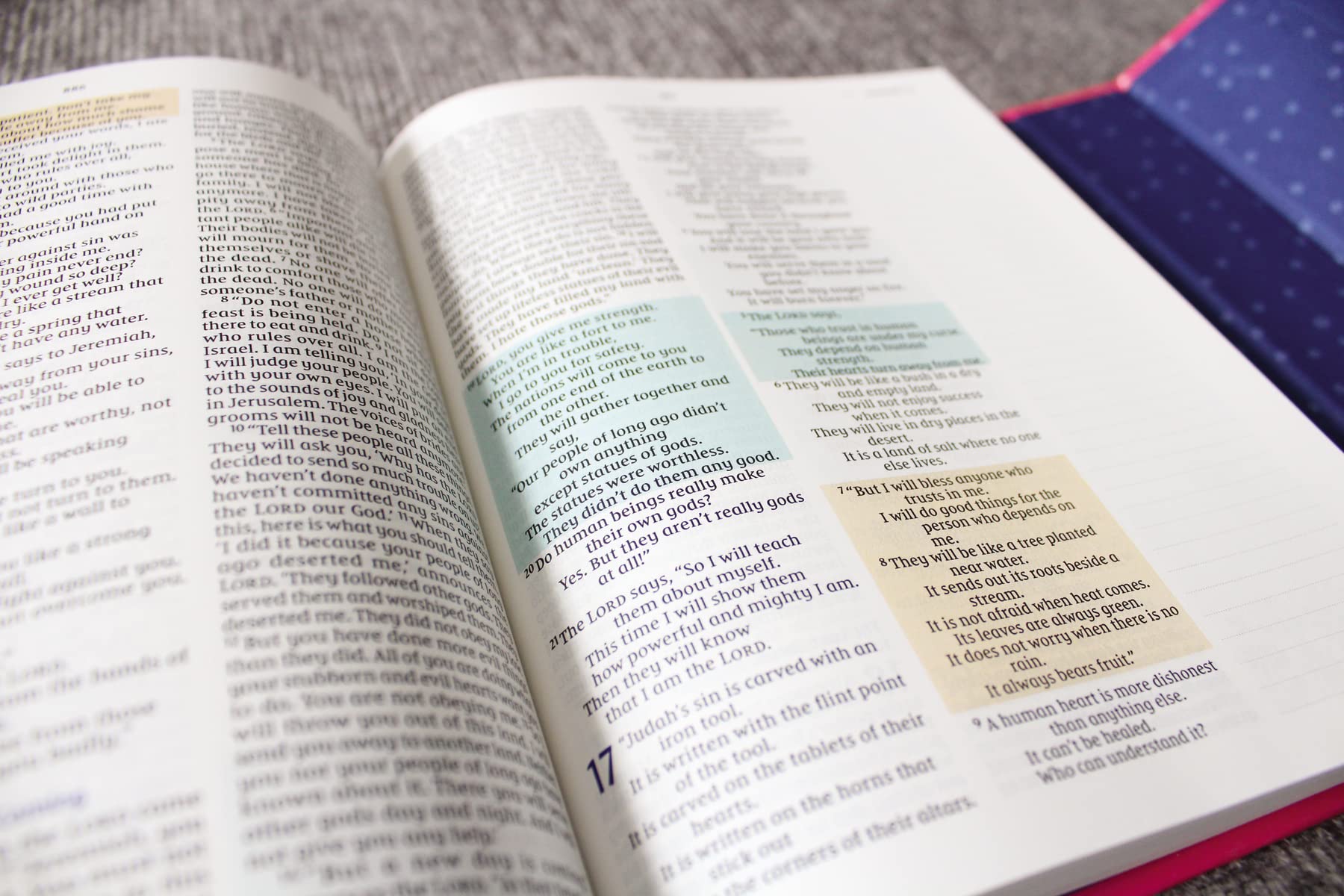 NIrV, Radiant Virtues Bible for Girls: A Beautiful Word Collection, Hardcover, Magnetic Closure, Comfort Print: Explore the virtues of faith, hope, and love