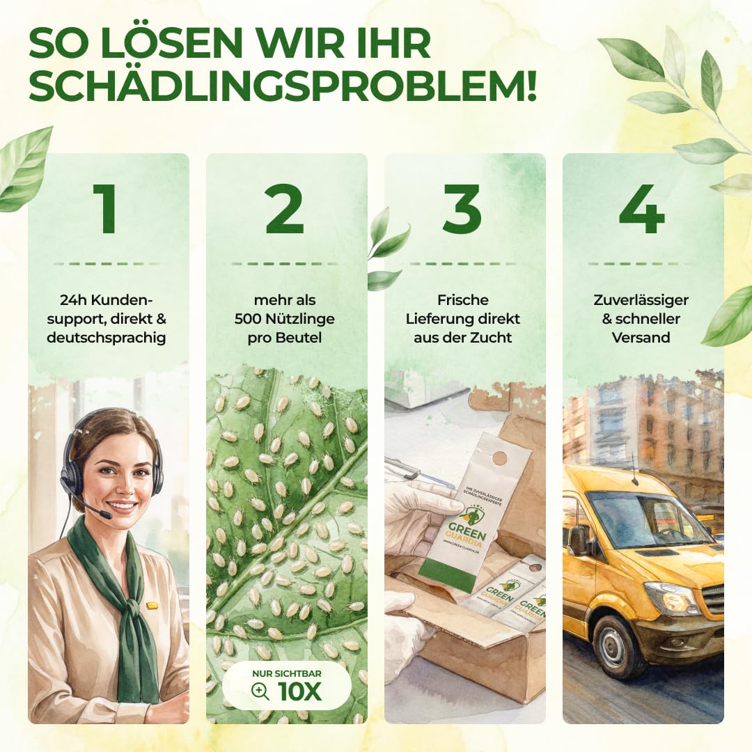 GREEN GUARDIA Power Raubmilben gegen Spinnmilben – 10 Tüten - Biologisches Mittel zur effektiven Spinnmilben Bekämpfung für Zimmer- & Zierpflanzen sowie Canna. – chemiefreie Mittel 4