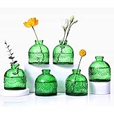 Aebor Glass Bud Vases Set of 6, Glass Flower Vases Small Bottles for Floral Arrangements, Rustic Decorative Floral Vases for Centerpiece Home Living Room Office Decoration or Wedding Event (Green E)