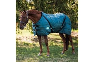 Country Pride Sentinel Channel Quilt Horse Stable Blanket, Midweight Open Front, 420D Nylon Outer Shell, 250g Poly-Fill Insulation, Wither Protection, Adjustable Leg Straps, Bias Surcingle (78,Green)