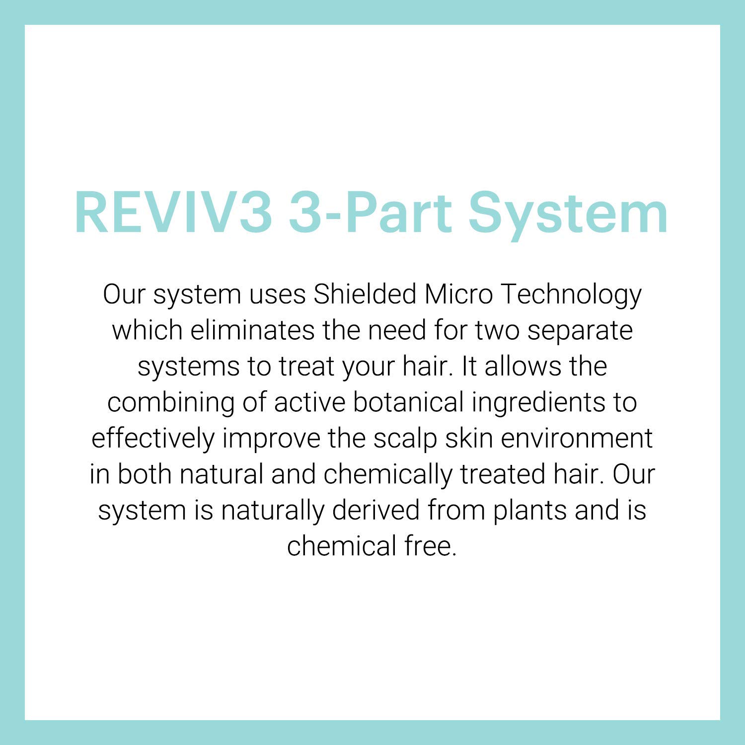 REVIV3 Procare 30 Day Trial Kit - 3-Part System for Fine and Thinning Hair - Sulfate and Paraben Free - Leave-In Hair Treatment Shampoo and Conditioner - Thinning Hair Treatment for Men and Women: Premium Beauty