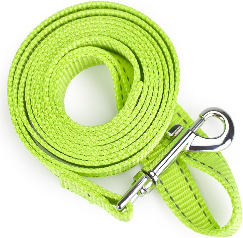 Reflective Nylon Safety Leash with Sturdy Handle Bright