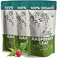 Organic Raspberry Leaf Tea (PACK of 3) - Red Raspberry Leaves for PMS Symptoms, Hormone Balance, Menstural Cramps - Womens Health Support
