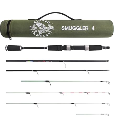 Amazon.com : Daiwa Revros LT Executive Rod and Reel Travel Pack, 5